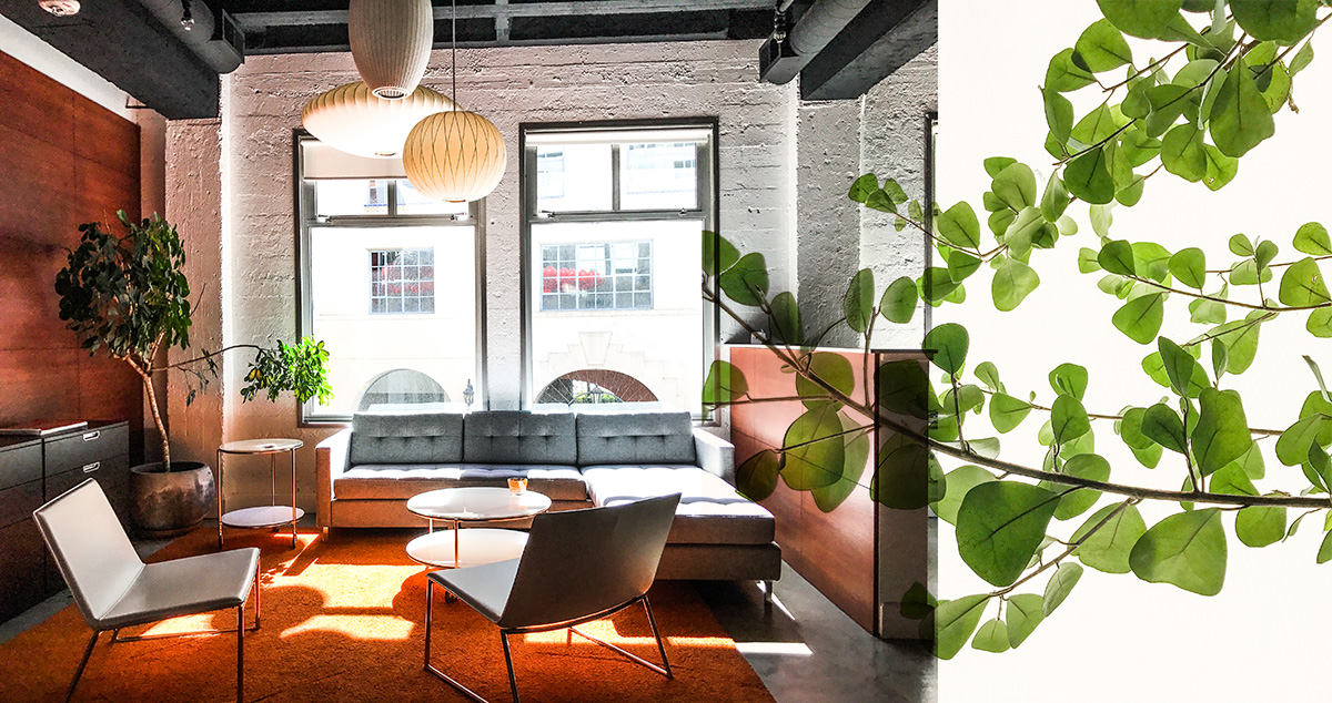 INTERIOR DESIGN Studio Holladay