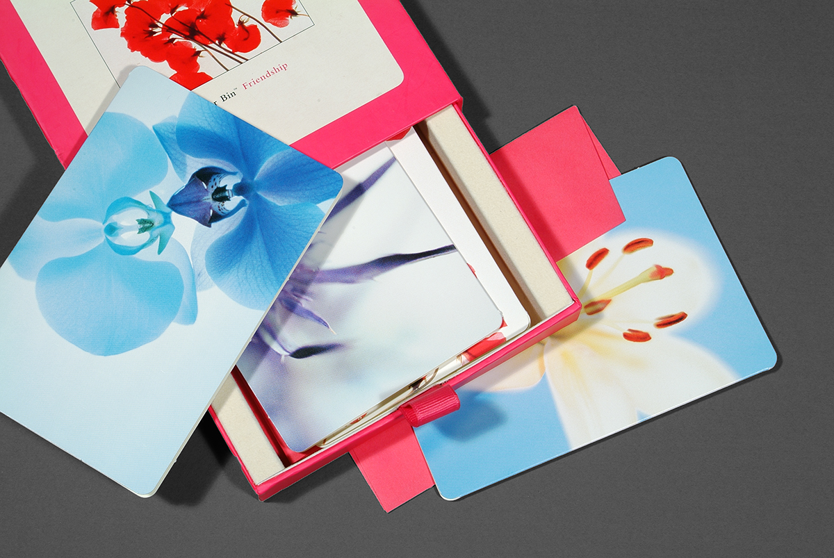 SimplyShe Studio Holladay